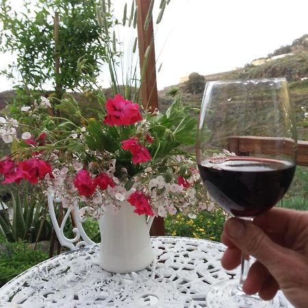 La Cueva De Angel B&B Firgas 外观 照片