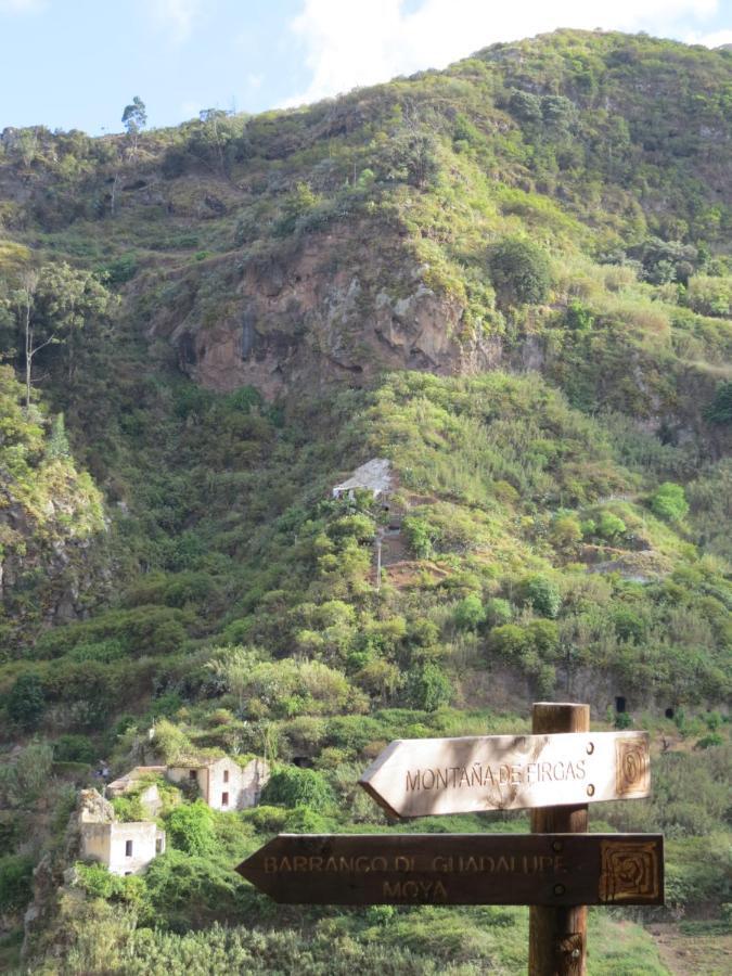 La Cueva De Angel B&B Firgas 外观 照片