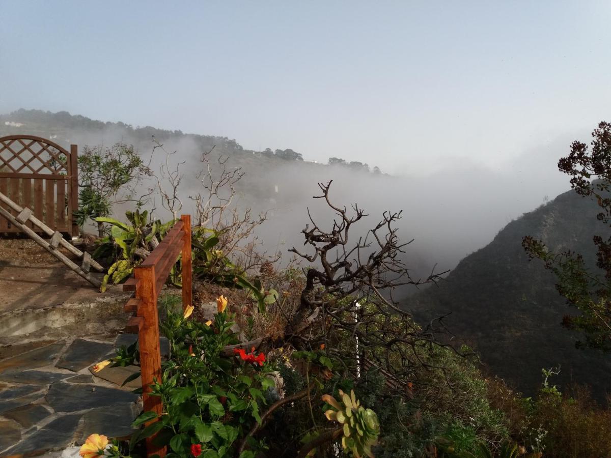 La Cueva De Angel B&B Firgas 外观 照片